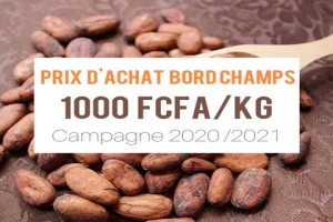 Le prix d'achat bord champ du kg de cacao fixé à 1000 francs CFA