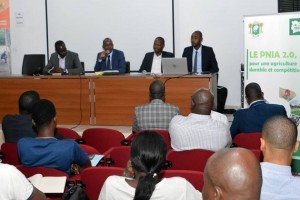 Côte d’Ivoire/ Un GIE créé pour professionnaliser les opérations des exportateurs d’hévéa